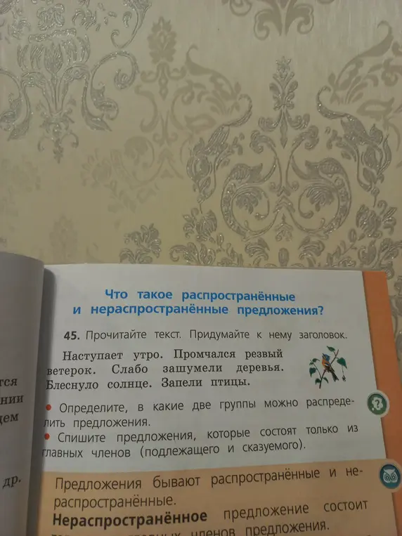 Определи, в какие две группы можно распределить предложения из текста