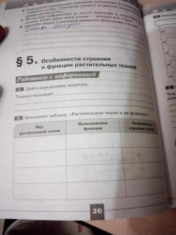 Можешь ли ты дать определение понятию "Тканью называют" и заполнить таблицу "Растительные ткани и их функции"?