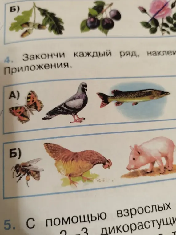 Ты можешь закончить каждый ряд из задания 4, наклеив картинки?