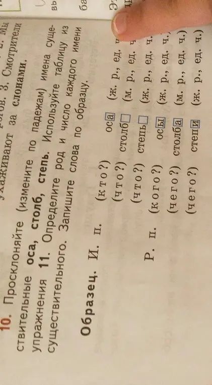 Просклоняй слова "оса", "столб", "степь" по падежам, определи род и число каждого имени существительного