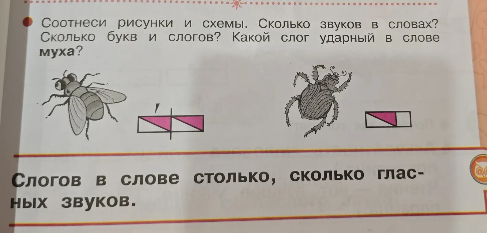 Соотнеси рисунки и схемы, определи количество звуков, букв и слогов, а также ударный слог в слове "муха"