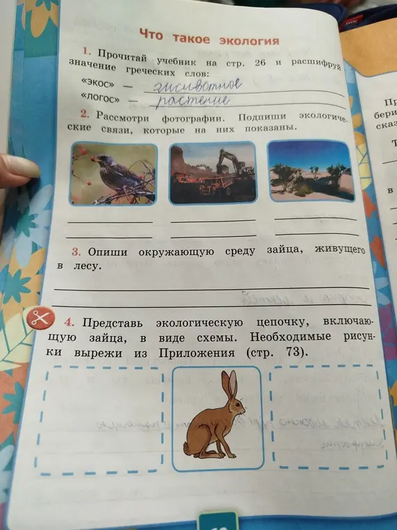 Можешь ли ты помочь мне ответить на вопросы по экологии: расшифровать значение греческих слов, рассмотреть фотографии и подписать экологические связи, описать окружающую среду зайца, представить экологическую цепочку, включающую зайца?