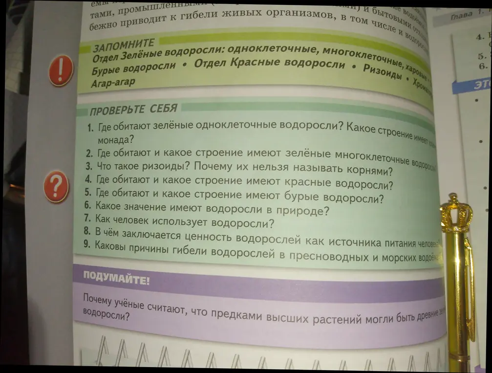 Где обитают зелёные одноклеточные водоросли?