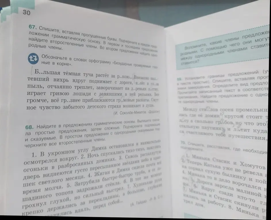 Выполни задания: в упражнении 67 спиши текст, вставляя пропущенные буквы, подчеркни грамматическую основу, найди второстепенные и однородные члены; в упражнении 68 найди грамматические основы предложений и т.д.