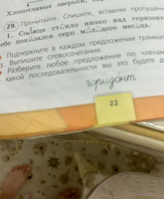 В упражнении 29 под цифрой 1 требуется вставить пропущенные буквы в предложении и разобрать его по членам.