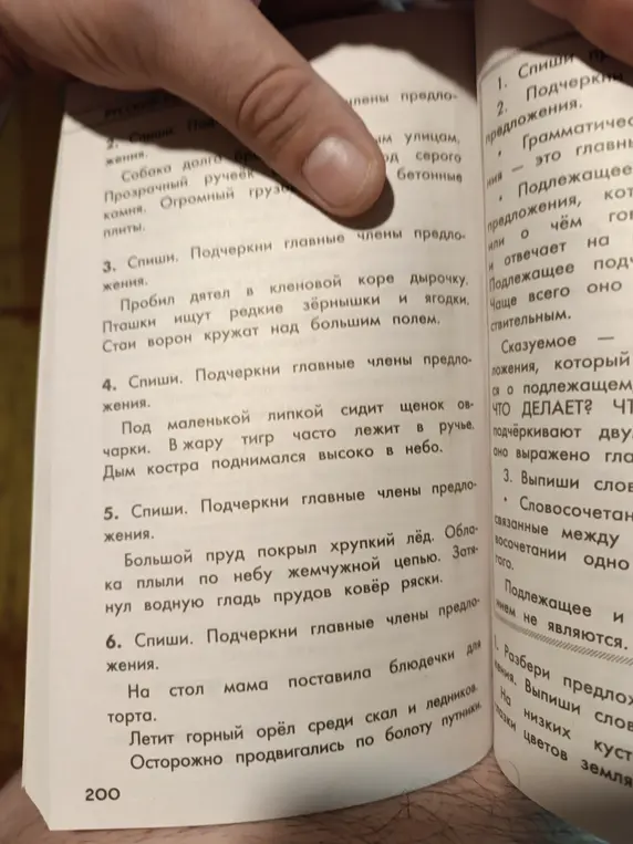 Помоги мне подчеркнуть главные члены предложения в упражнении 3