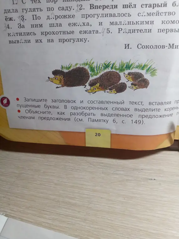 Объясни, как вставить пропущенные буквы в тексте про ежей, выделить корень в однокоренных словах и разобрать предложение по членам