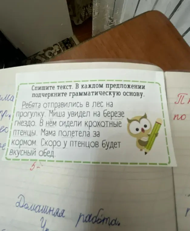 Подчеркни грамматическую основу в каждом предложении текста.