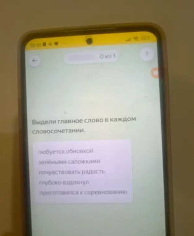 Ты просишь выделить главное слово в каждом словосочетании.