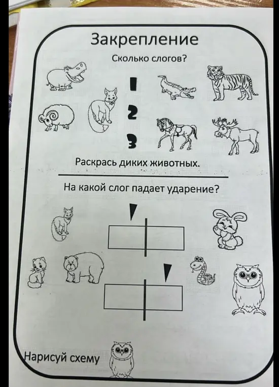 Ты просишь определить количество слогов в словах, обозначающих животных, и указать, на какой слог падает ударение.