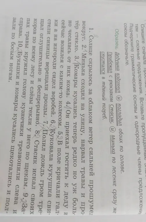 Составь грамматические основы предложений, а также подчеркни однородные члены и обозначь союзы в предложениях из упражнения