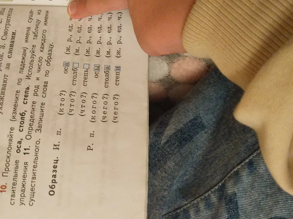 Ты просишь просклонять слова "оса", "столб", "степь".