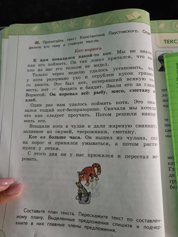 Помоги составить план текста "Кот-ворюга", пересказать текст по составленному плану, списать выделенные предложения и подчеркнуть главные члены предложения.