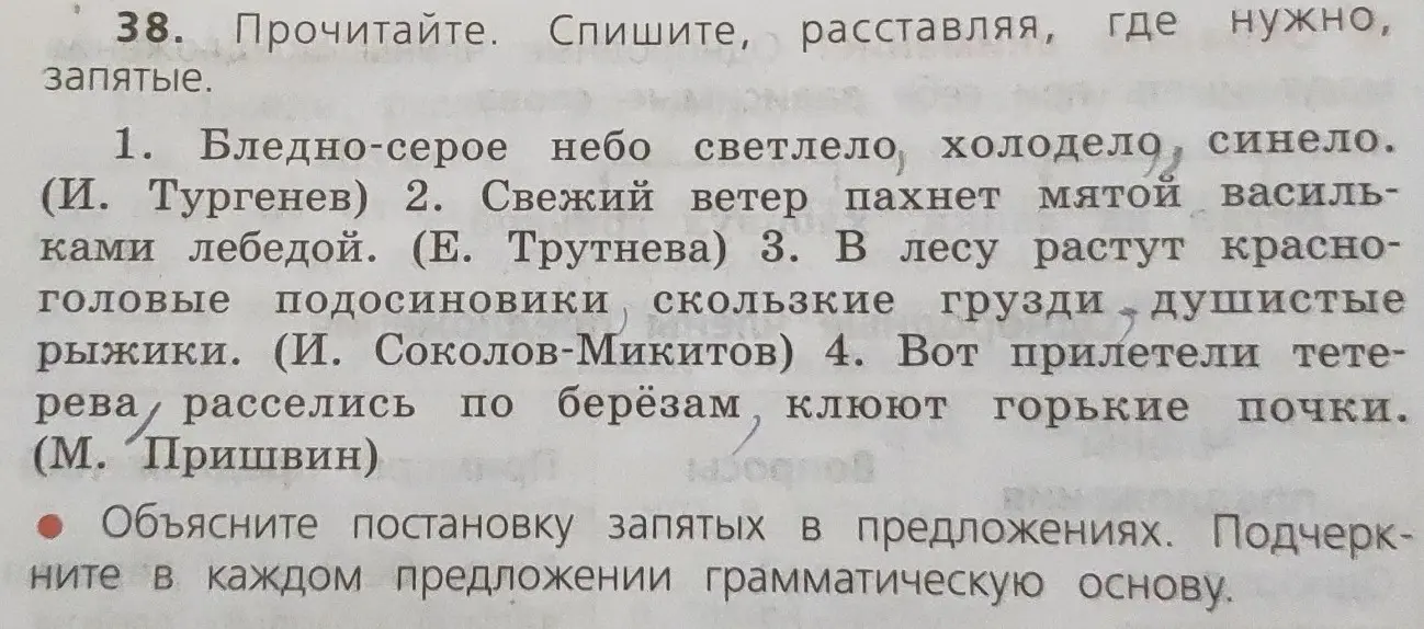 Объясни, где нужно поставить запятые в предложениях: 'Бледно-серое небо светлело холодело синело'