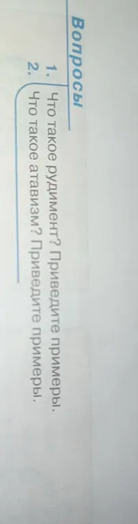 Что такое рудимент и атавизм?