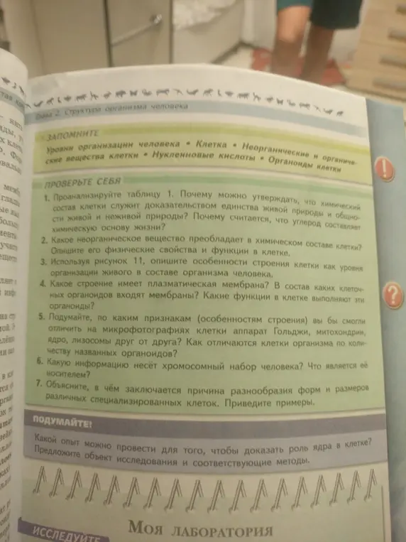 Проанализируй таблицу 1. Почему можно утверждать, что химический состав клетки служит доказательством единства живой природы и общности живой и неживой природы?