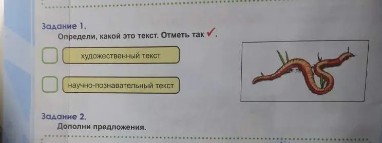 Определи, художественный или научно-познавательный текст представлен на изображении