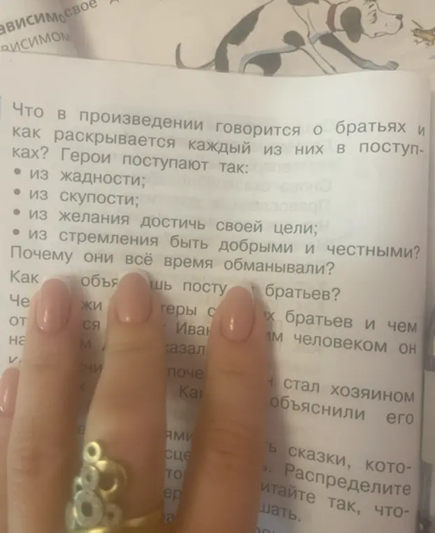 Что в произведении говорится о братьях и как раскрывается каждый из них в поступках?
