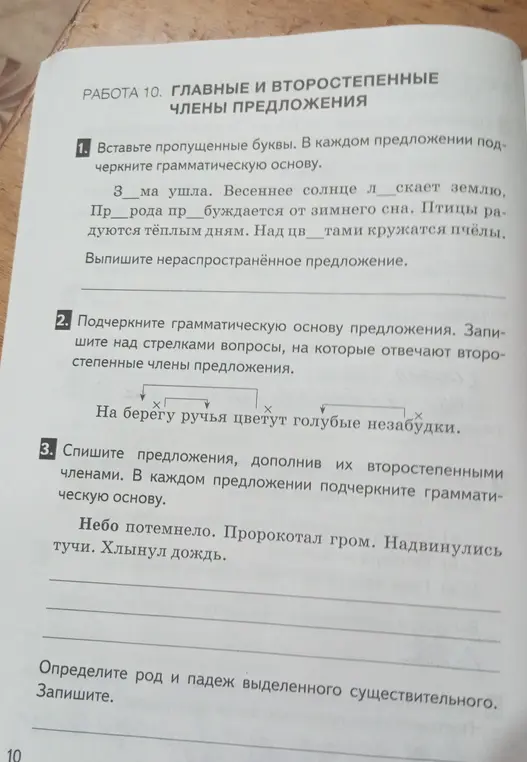 Ты просишь вставить пропущенные буквы, подчеркнуть грамматическую основу в предложениях, определить род и падеж выделенного существительного.