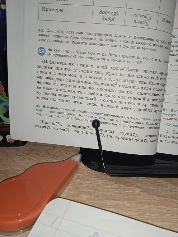 Ты просишь помочь вставить пропущенные буквы и знаки препинания в текст, определить склонение имён существительных, а также выписать существительные 3-го склонения и составить предложения с выделенными словами