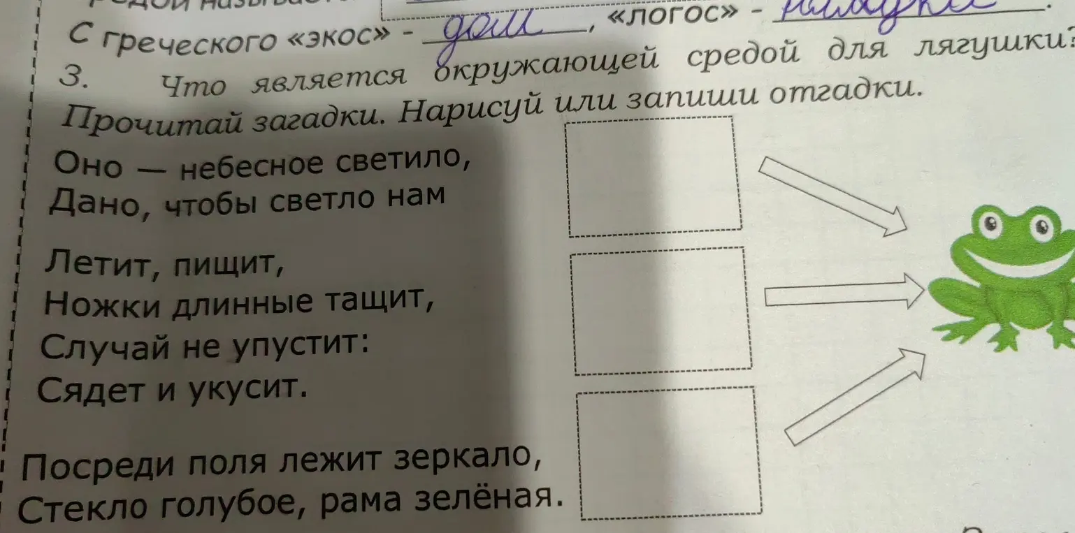 Что является окружающей средой для лягушки? Отгадай загадки