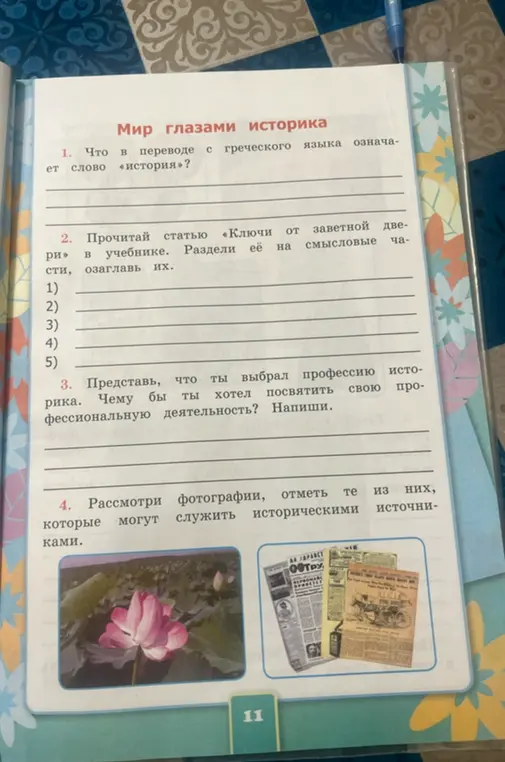 Что в переводе с греческого языка означает слово «история»?