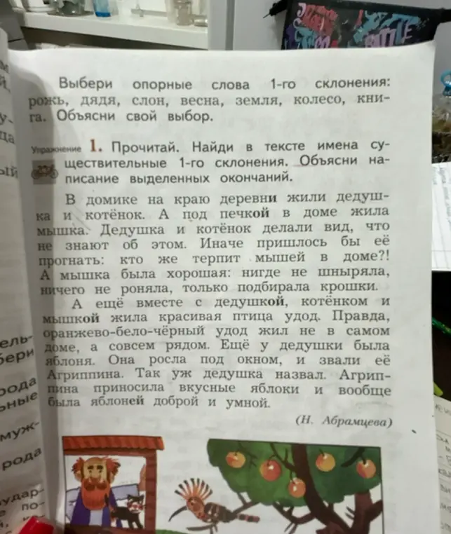 Можешь помочь мне найти имена существительные 1-го склонения в тексте и объяснить написание выделенных окончаний?