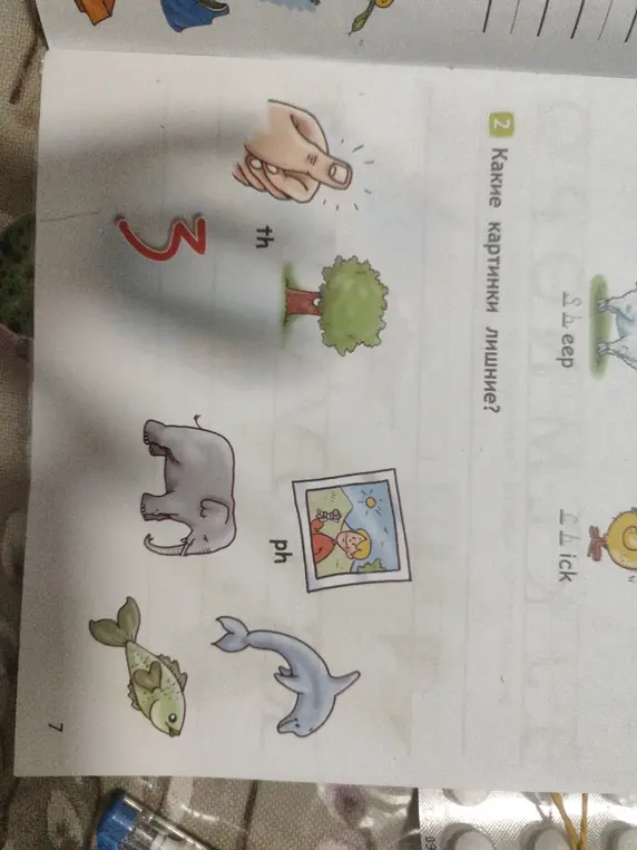 Какие картинки лишние в задании 2?