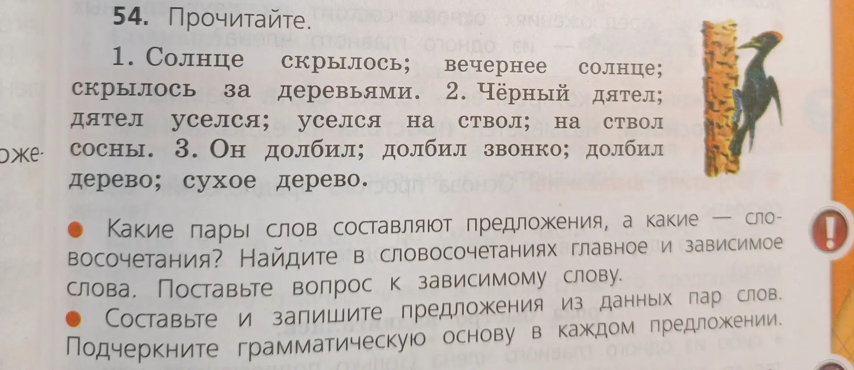 Составь и запиши предложения из данных пар слов из упражнения 54. Подчеркни грамматическую основу в каждом предложении.
