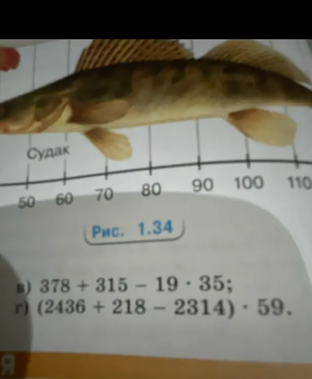 Реши пример 378 + 315 - 19 * 35 и (2436 + 218 - 2314) * 59