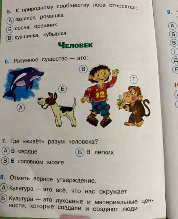 К природному сообществу леса относятся василёк, ромашка?