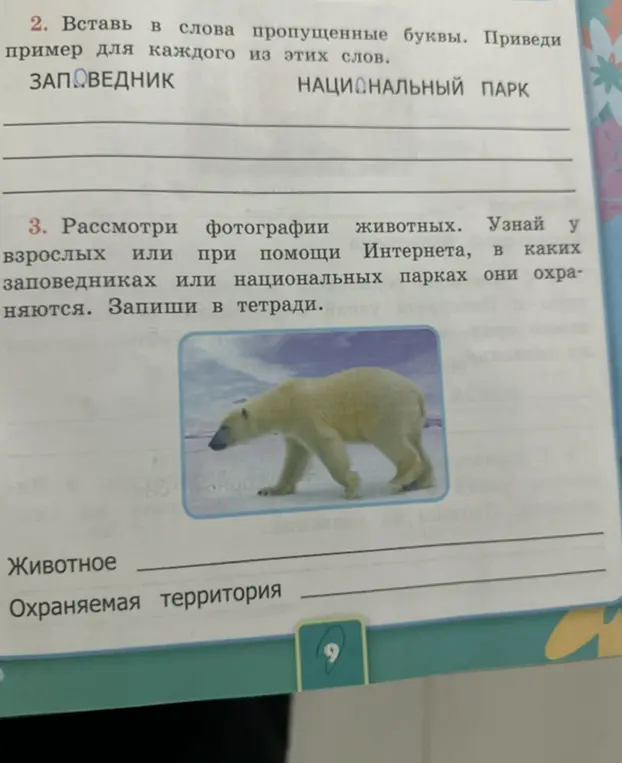 Вставь в слова пропущенные буквы и приведи пример для слова 'заповедник'.