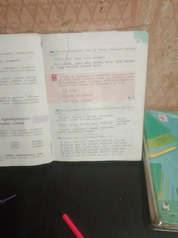 Запиши проверочные слова по образцу (Друг - друга, мороз - морозный)