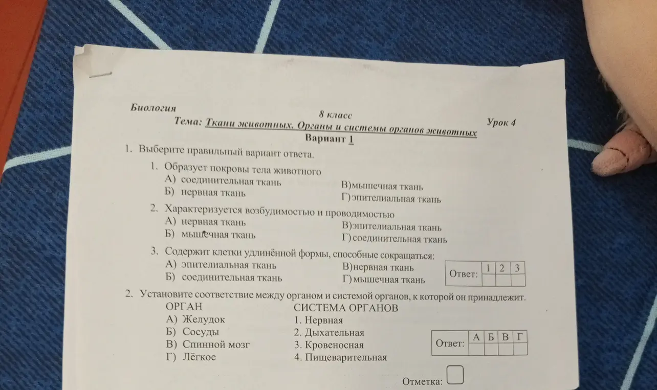 Выбери правильный вариант ответа в вопросе про ткани животного.