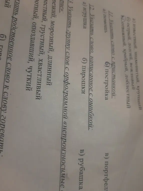 Выполни для меня задания 11, 12 и 13 по русскому языку