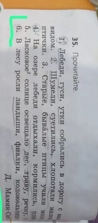 Ты просишь найти главные члены предложения в предложении: В лесу росли ландыши, фиалки, колокольчики.