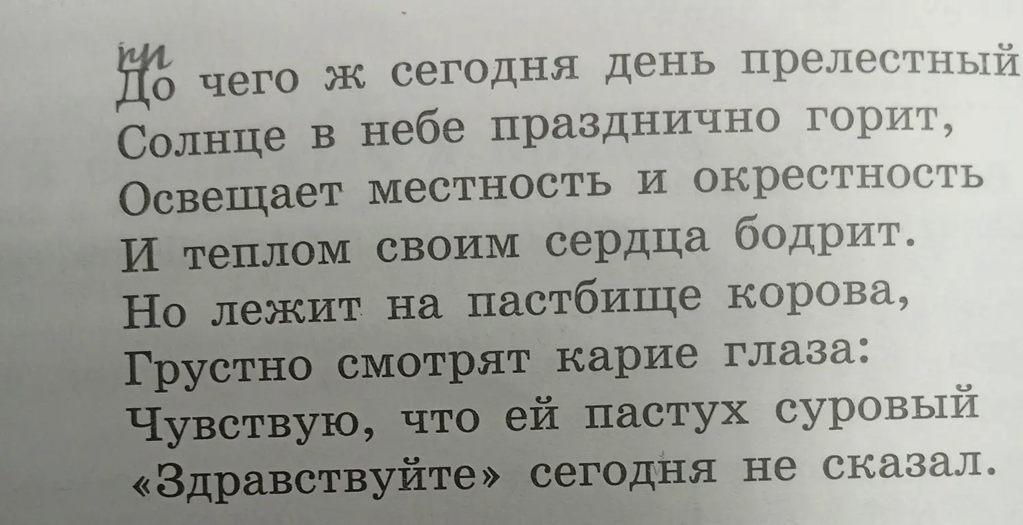 Определи части речи в тексте