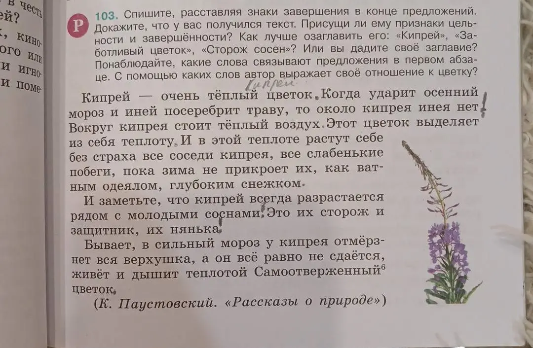 Помоги с упражнением 103: Спиши, расставляя знаки завершения в конце предложений
