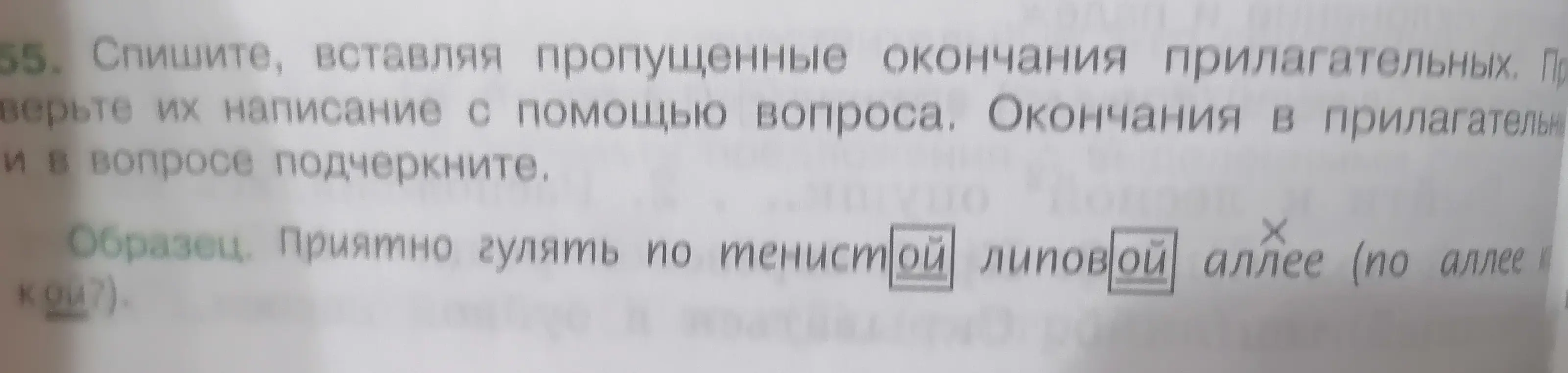 Ты просишь помочь вставить пропущенные окончания прилагательных и подчеркнуть их.