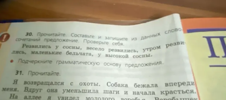 Ты просишь составить и записать предложение из данных слов, а также подчеркнуть грамматическую основу предложения в упражнении 30
