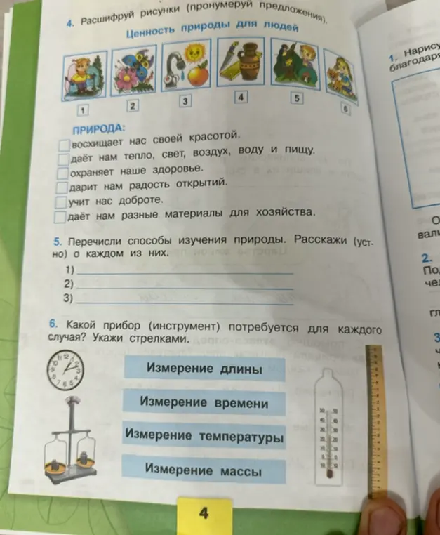 Помоги расшифровать рисунки (пронумеруй предложения).