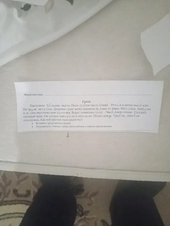 В тексте нужно вставить пропущенные буквы и подчеркнуть главные члены предложения в первом предложении.