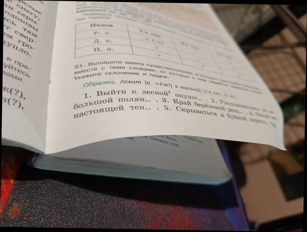 Выпиши имена существительные вместе с теми словами, от которых к ним задаётся вопрос, и укажи склонение и падеж в упражнении 51 под цифрой 1