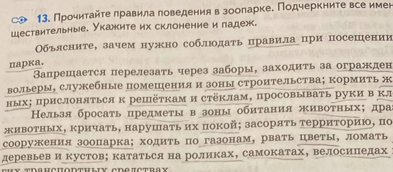 Прочитай правила поведения в зоопарке и подчеркни все имена существительные. Укажи их склонение и падеж.