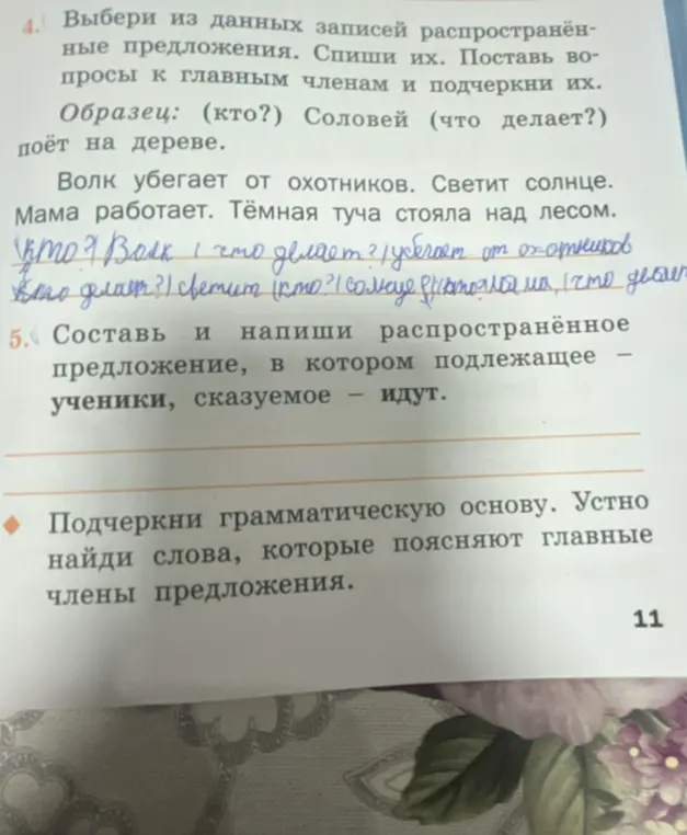 Выбери из данных записей распространённые предложения и спиши их.