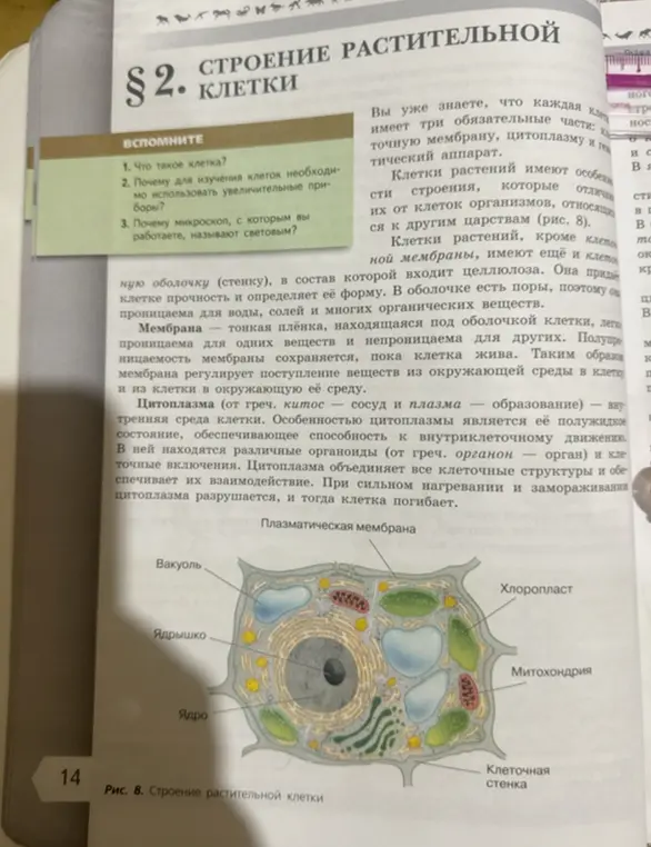 Что такое клетка? Почему для изучения клеток необходимо использовать увеличительные приборы? Почему микроскоп, с которым ты работаете, называют световым?