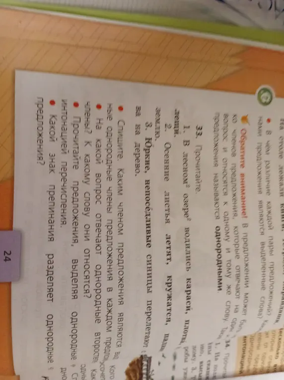 Ты просишь прочитать предложения и определить, какие члены предложений являются однородными.