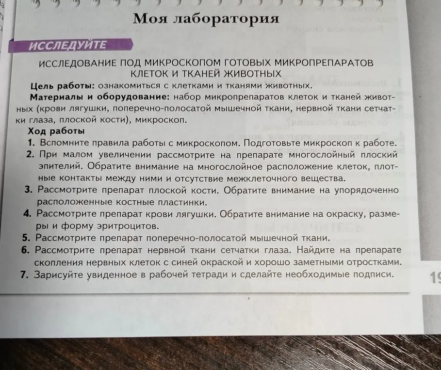 Можешь ли ты помочь мне выполнить задания в моей лабораторной работе по биологии?