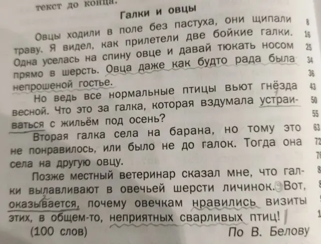 Сформулируй основную мысль текста "Галки и овцы"