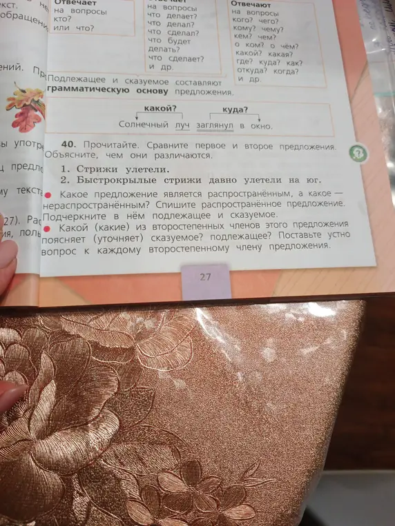 Объясни, чем отличаются предложения 'Стрижи улетели' и 'Быстрокрылые стрижи давно улетели на юг'.